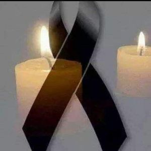 Meet your Posher, Celia